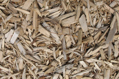 biomass boilers Wyke Champflower